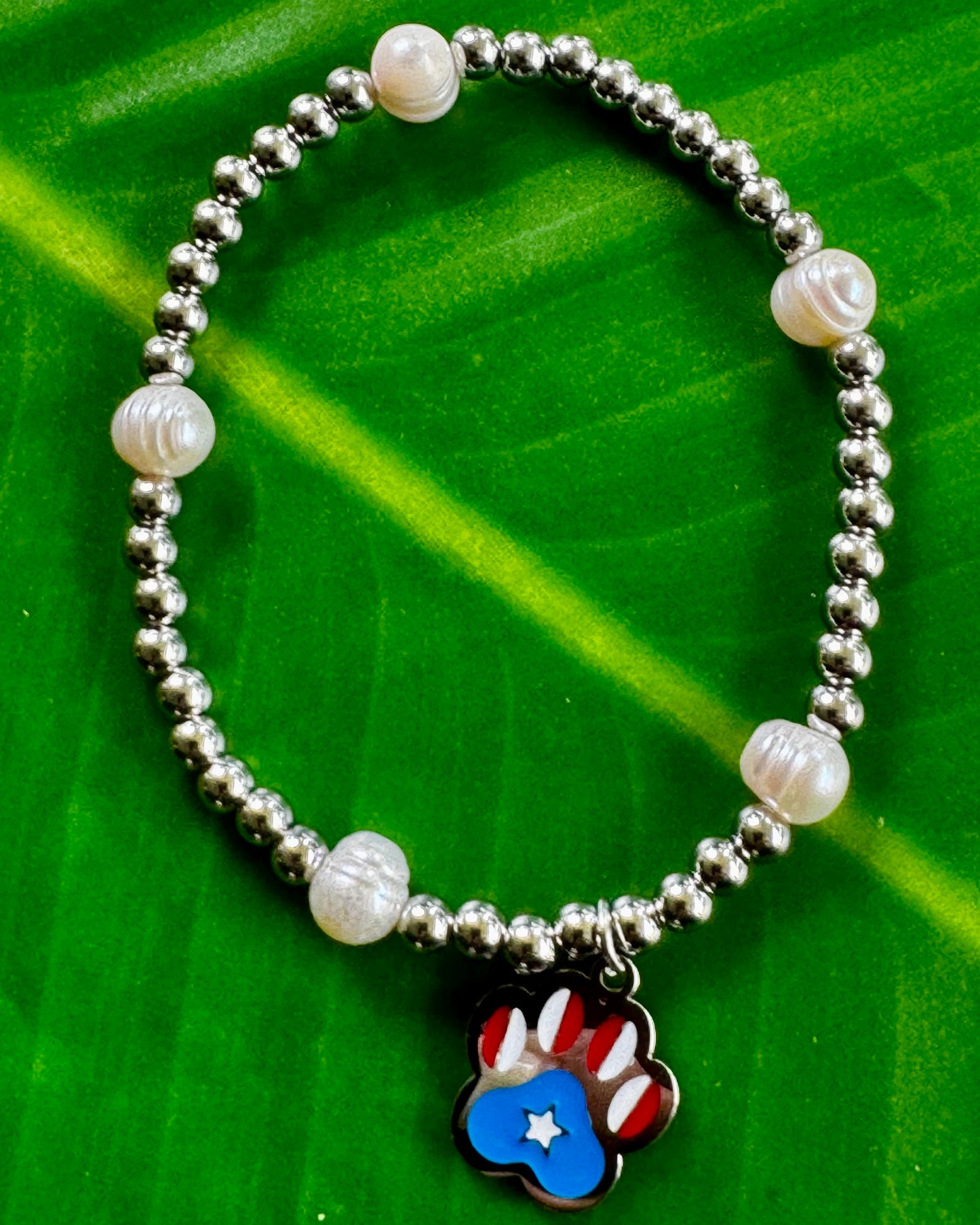 Dog Paw Puerto Rico Bracelet