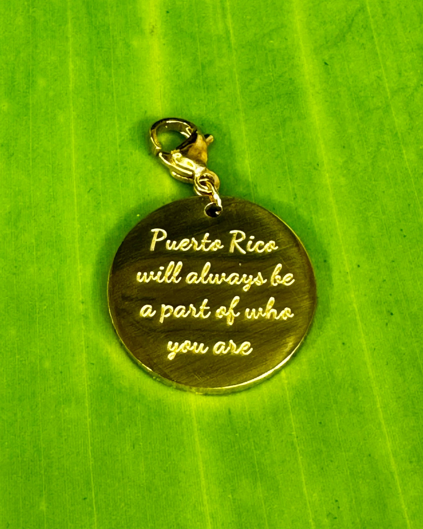 “Puerto Rico Will Always Be a Part of Who You Are”Charm
