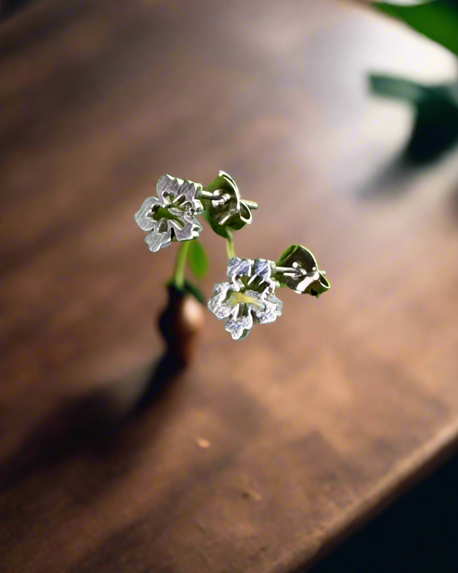 Flor Maga stainless steel earrings symbolizing Puerto Rican beauty and cultural pride