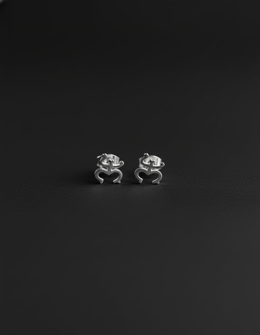 Small stainless steel stud earrings featuring the Coquí Taíno symbol