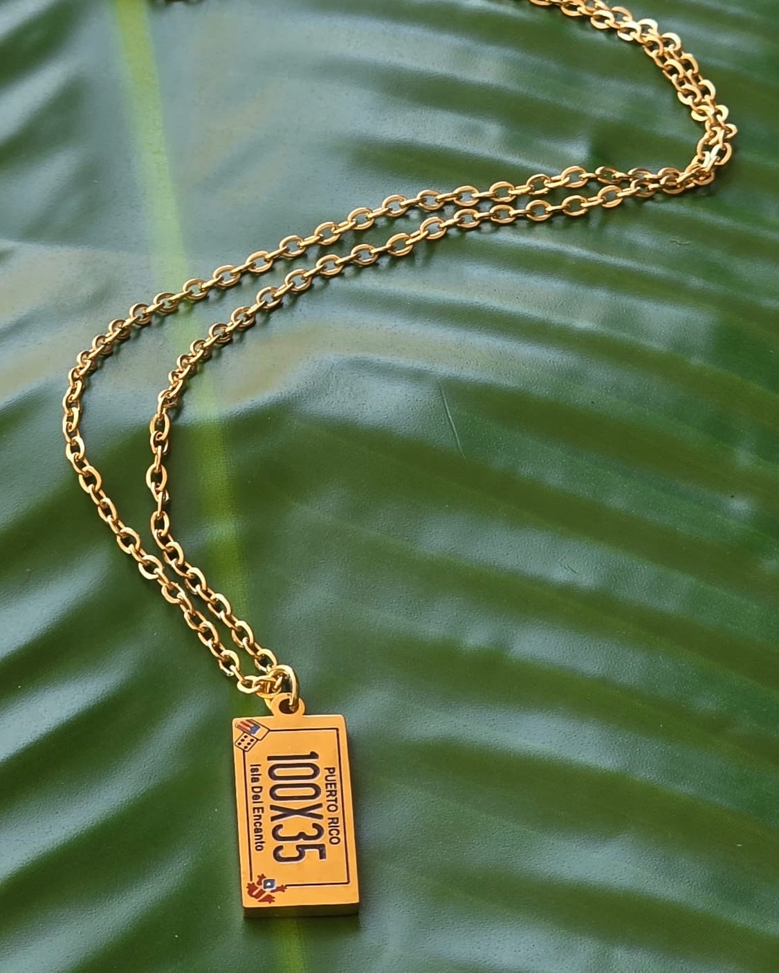 100 x 35 stainless steel necklace from Puerto Rico collection, perfect gift.
