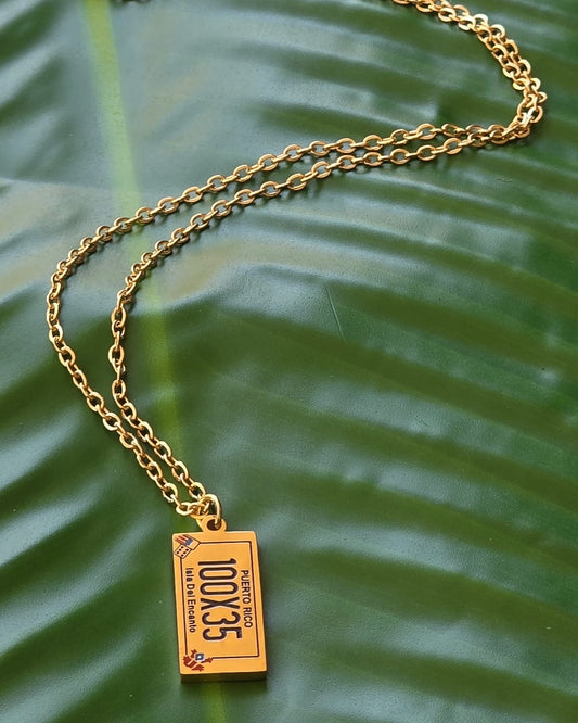 100 x 35 stainless steel necklace from Puerto Rico collection, perfect gift.