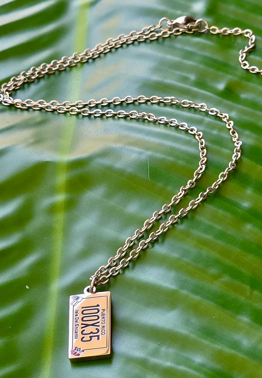 100 x 35 stainless steel necklace from Puerto Rico collection, perfect gift.