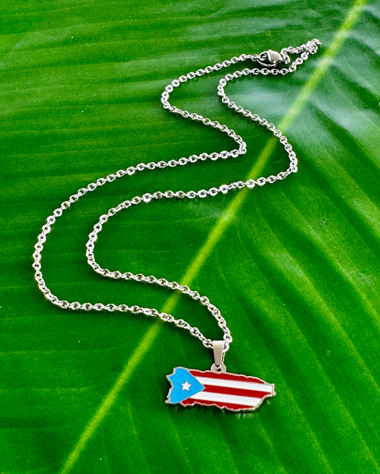 17½-inch stainless steel necklace with Puerto Rico charm in black/gold, gold/gold, or gray stainless steel, celebrating Puerto Rican pride
