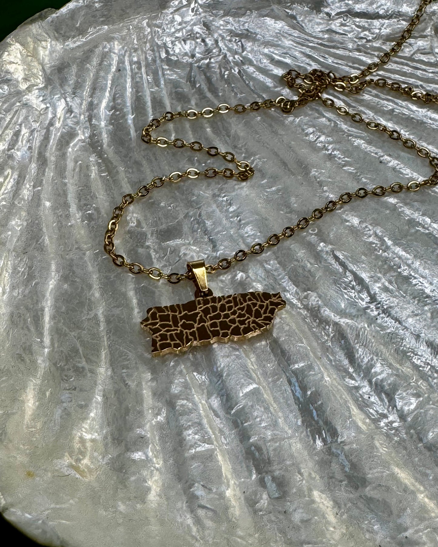 18-inch necklace with a charm shaped like Puerto Rico, highlighting its towns. A stylish accessory representing love and pride for the island, perfect for gifting or everyday wear.