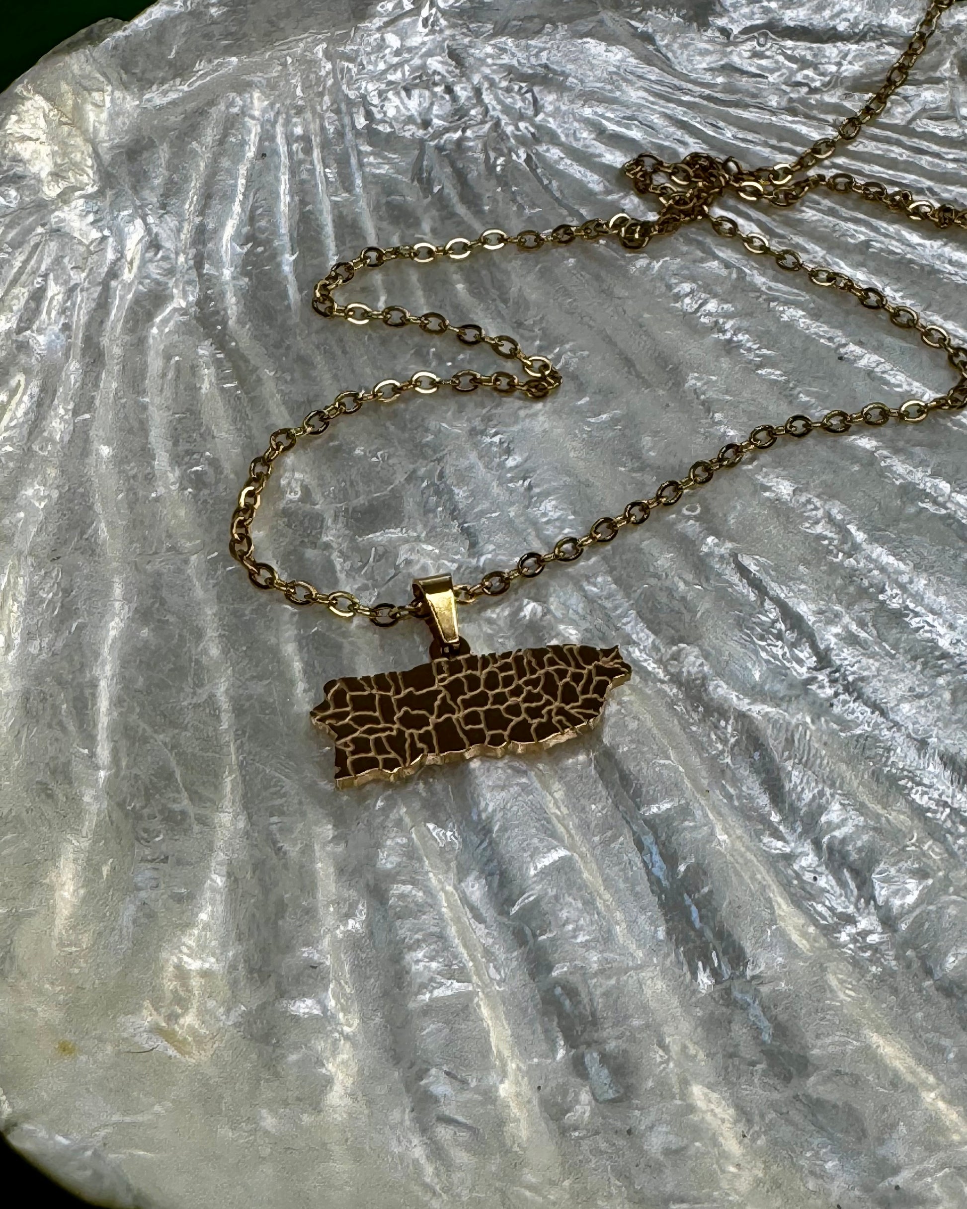 18-inch necklace with a charm shaped like Puerto Rico, highlighting its towns. A stylish accessory representing love and pride for the island, perfect for gifting or everyday wear.