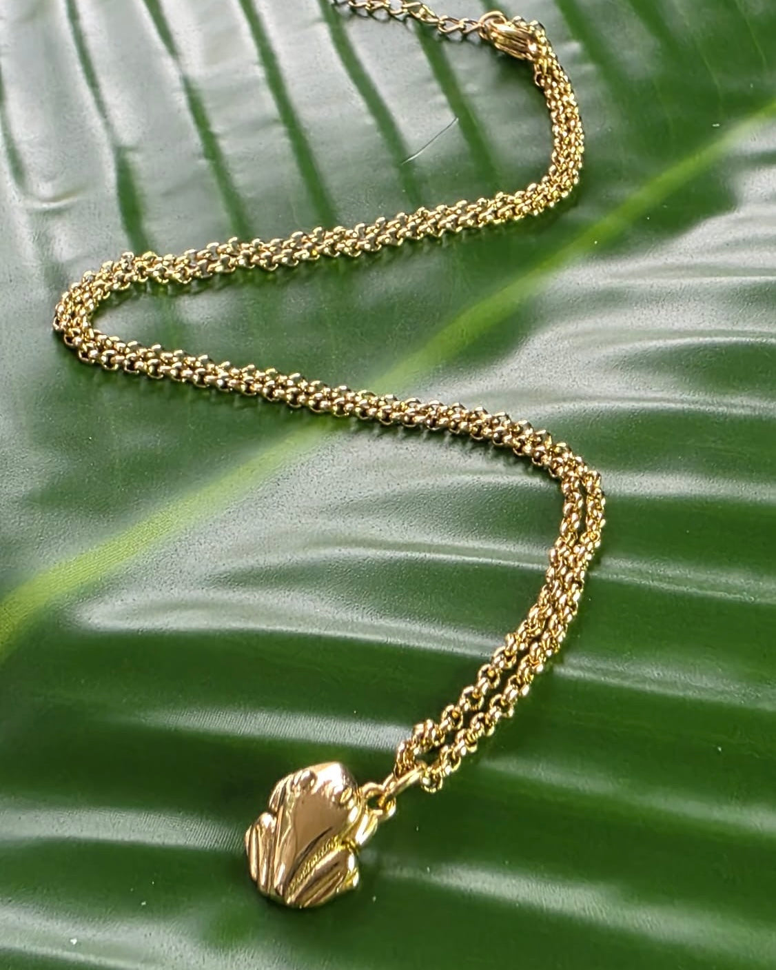 Gold Stainless Steel Coqui