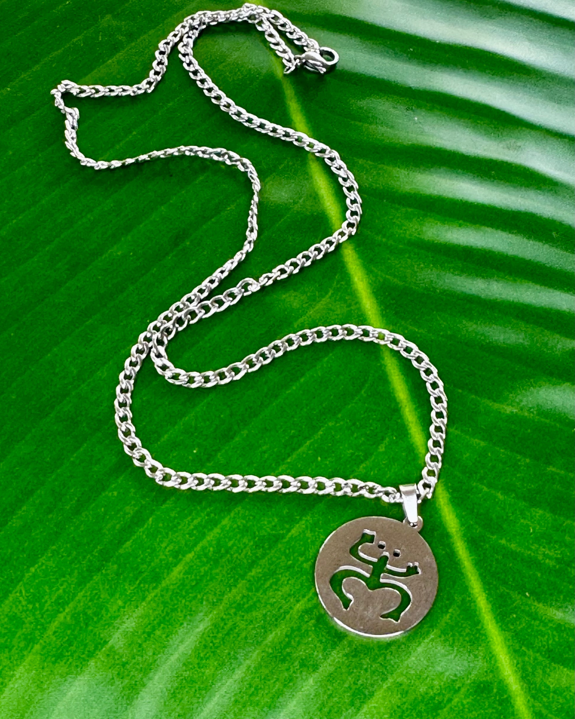 20-inch stainless steel necklace with Coquí Taíno charm, a unisex accessory symbolizing Puerto Rican heritage and Taíno culture.