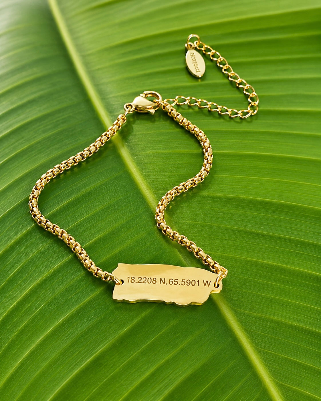 Puerto Rico Coordinates Stainless Steel Bracelet