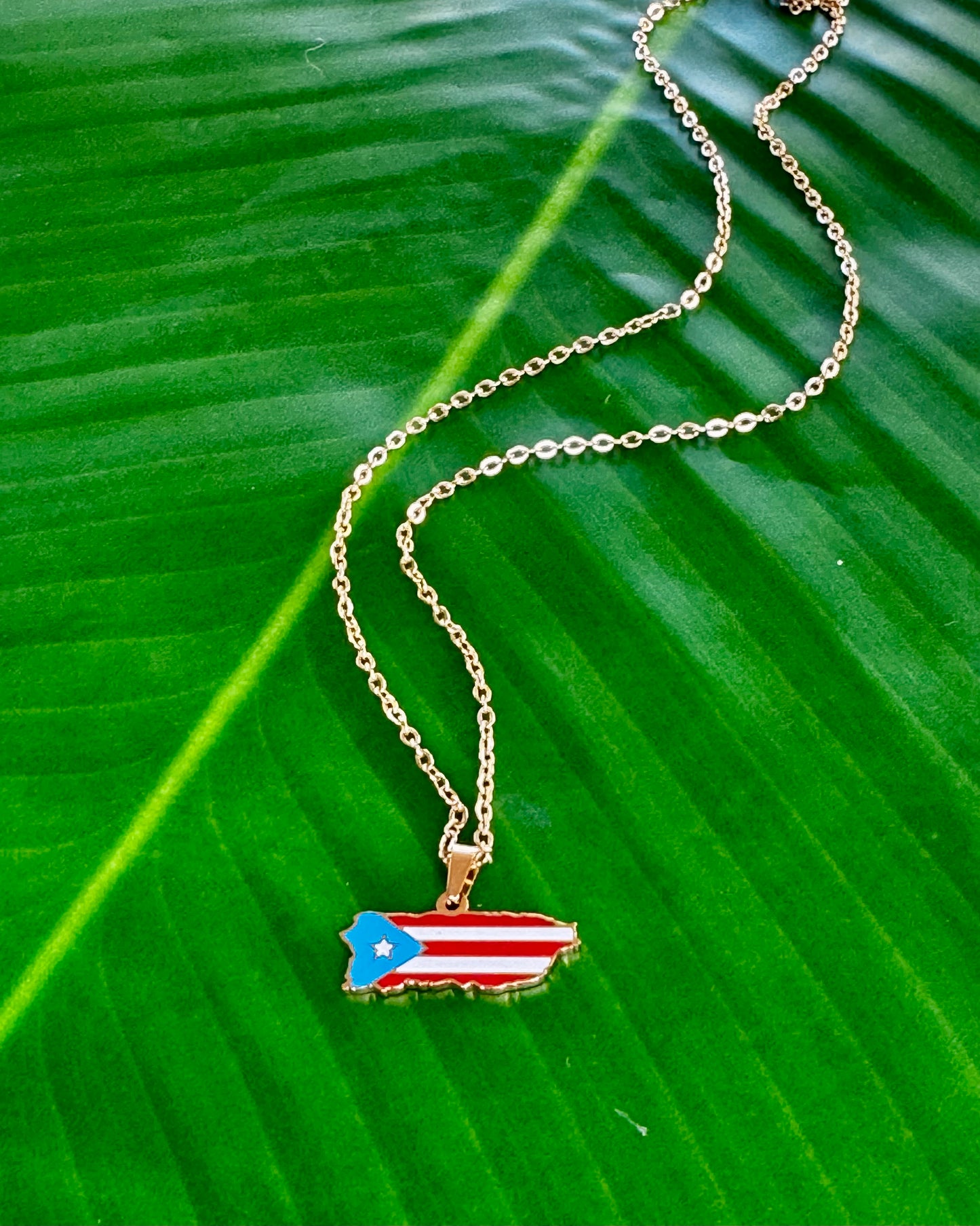17½-inch stainless steel necklace with Puerto Rico charm in black/gold, gold/gold, or gray stainless steel, celebrating Puerto Rican pride