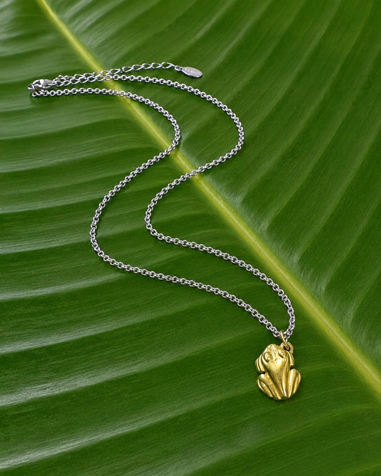 Gold Stainless Steel Coqui
