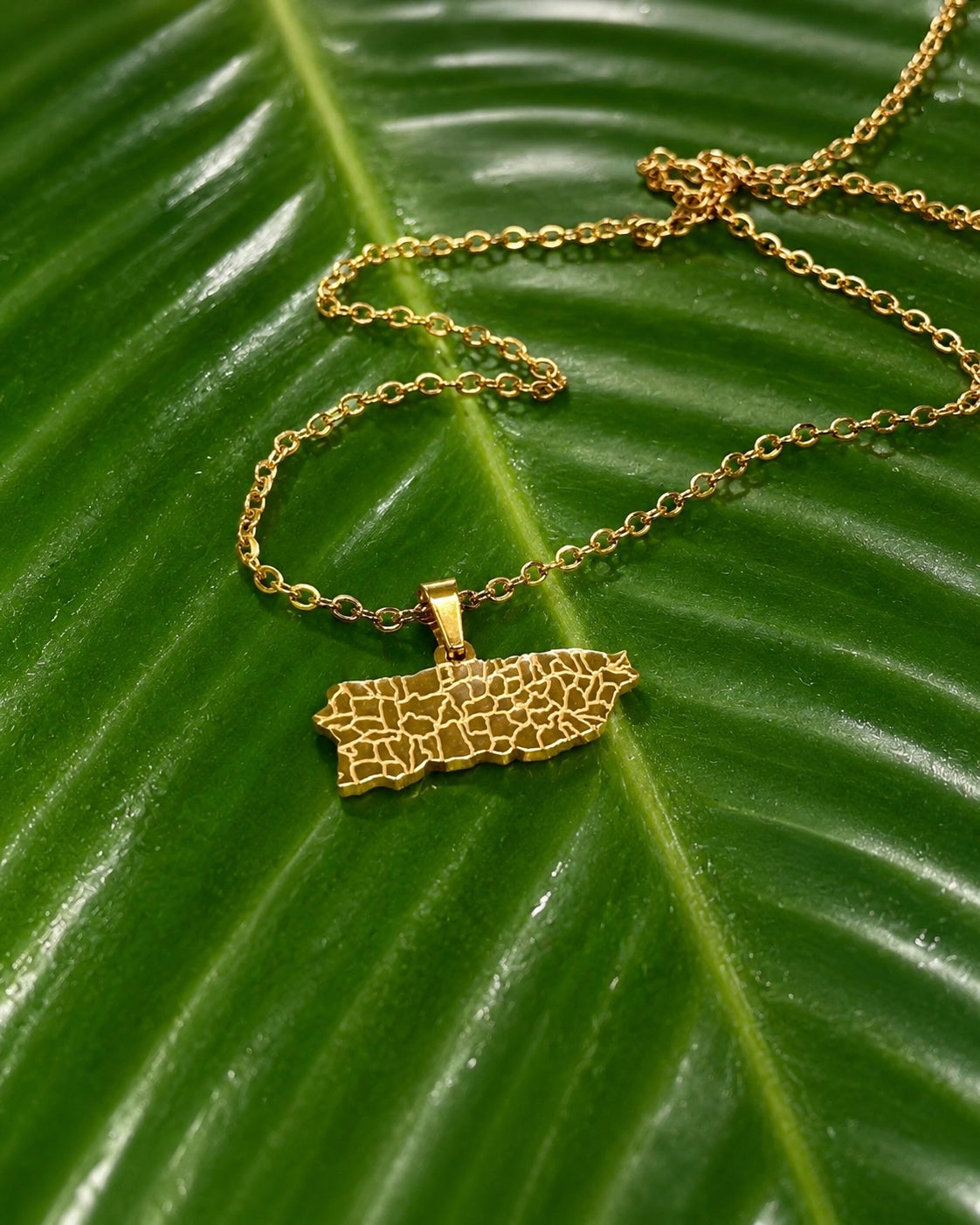 Puerto Rico Map 18-inch Necklace