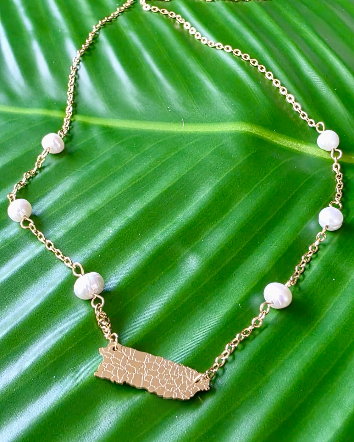 Puerto Rico Pearl Gold Stainless Steel