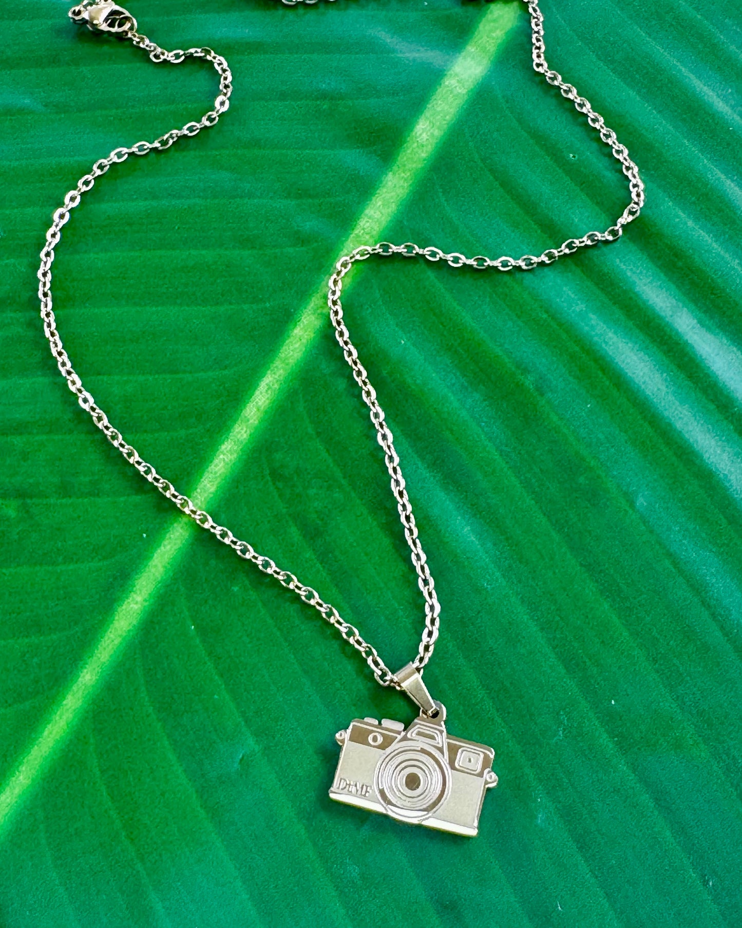 Camera Necklace – 18" Stainless Steel