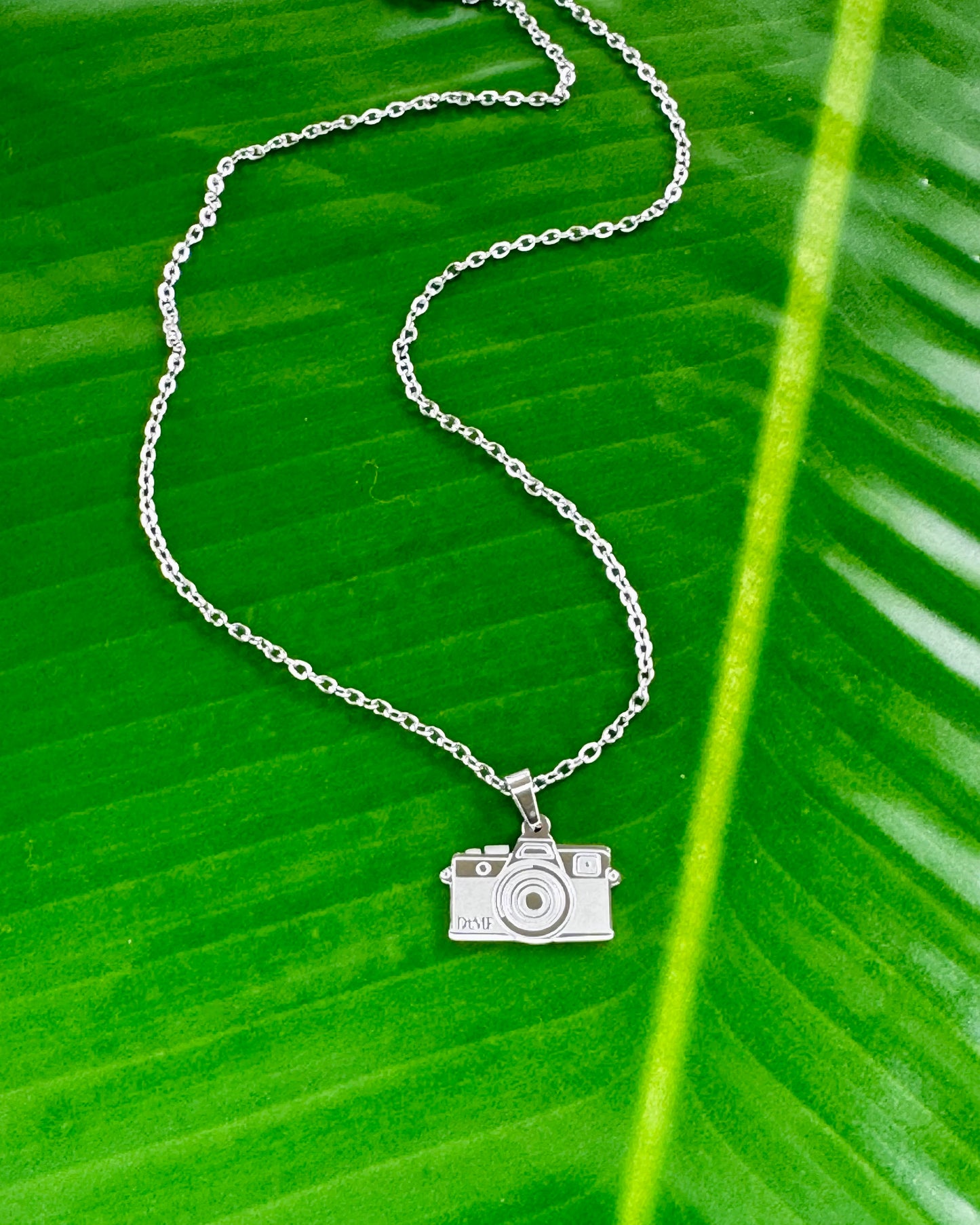 Camera Necklace – 18" Stainless Steel