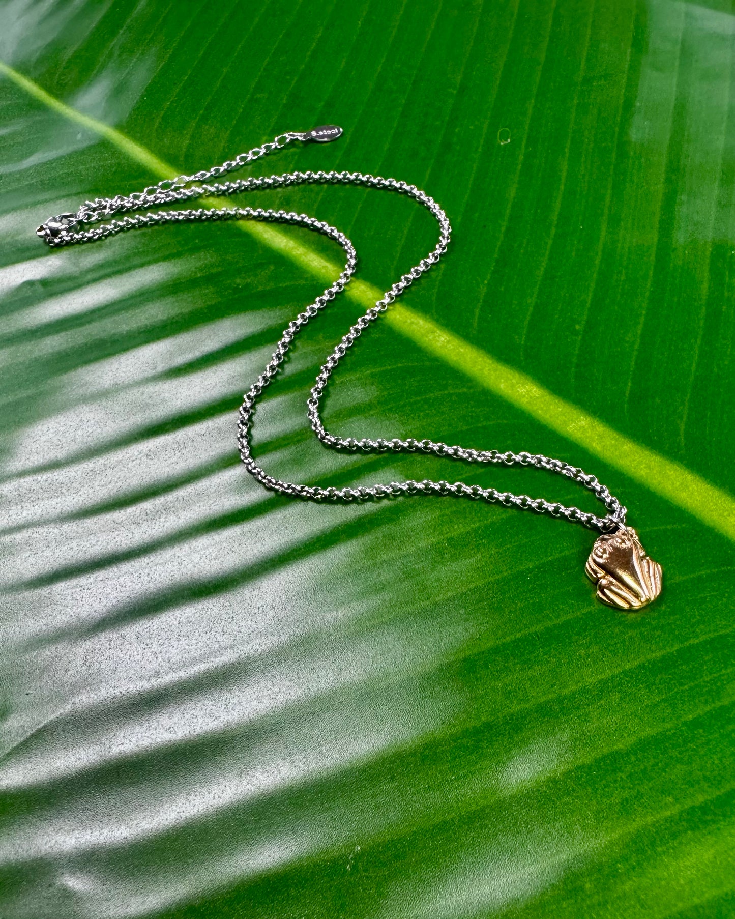 Gold Stainless Steel Coqui