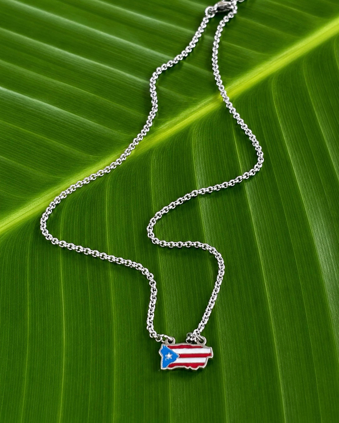 Puerto Rico Vibrant Map Necklace – 18” Stainless Steel