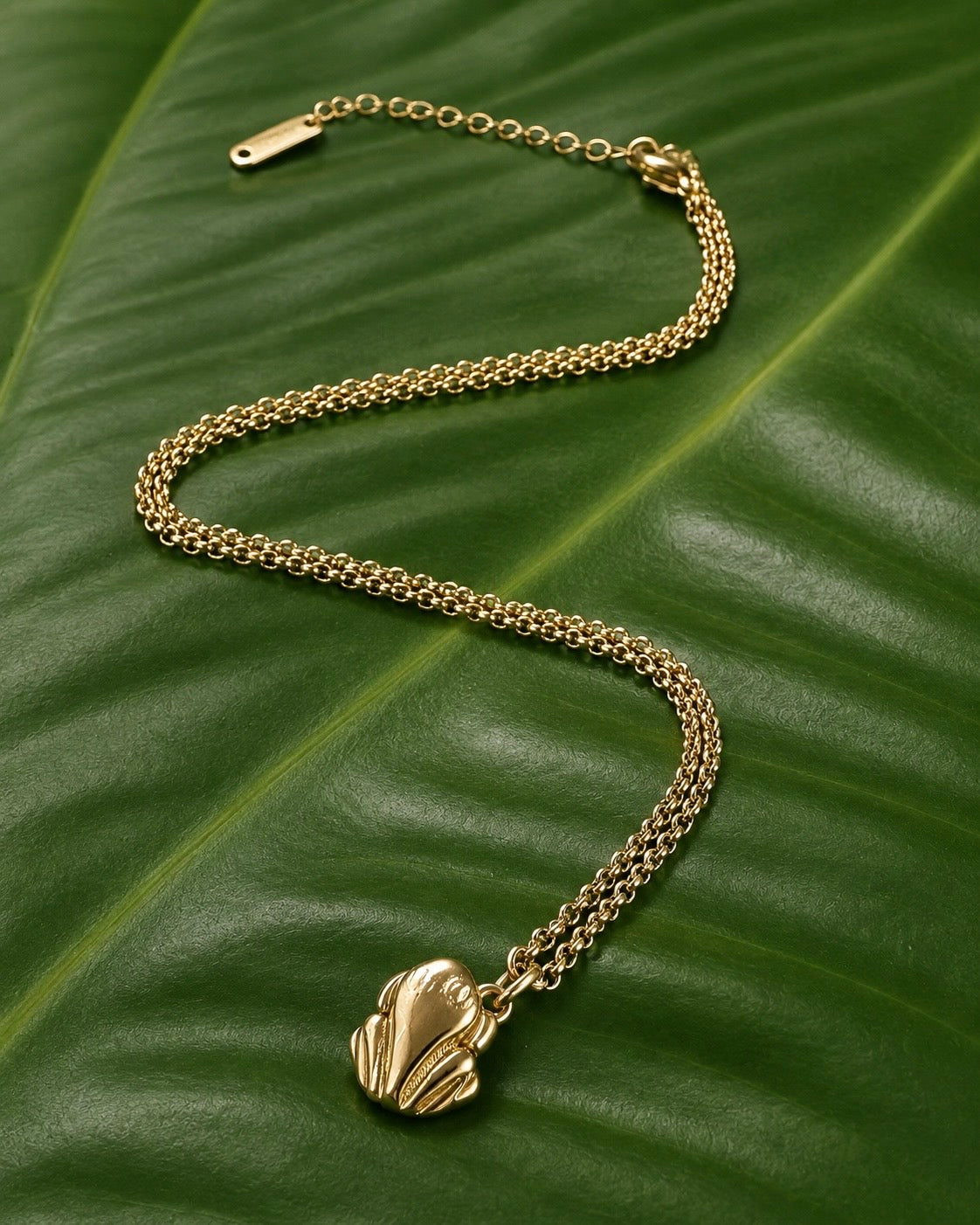 Gold Stainless Steel Coqui
