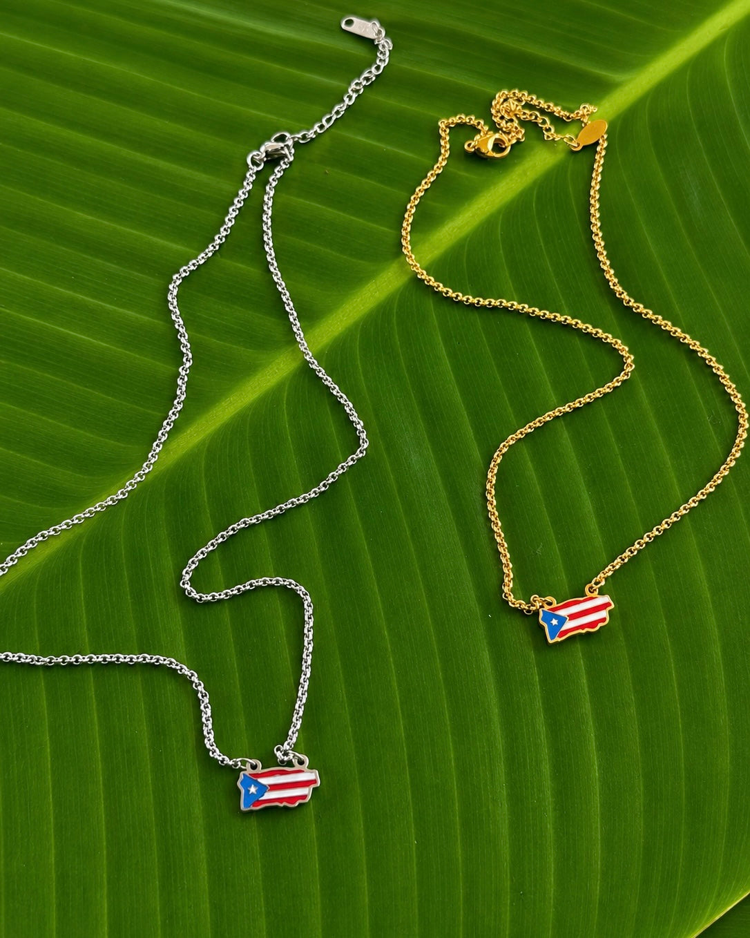 Puerto Rico Vibrant Map Necklace – 18” Stainless Steel