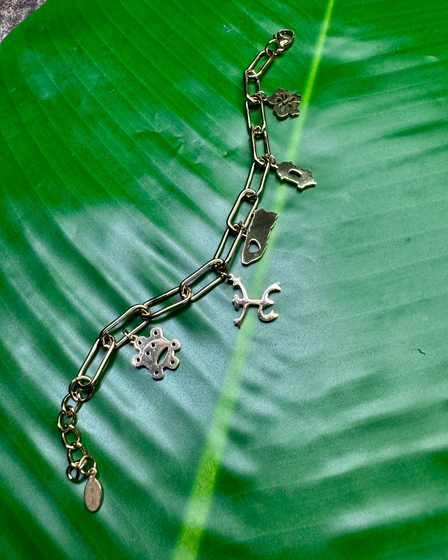 Puerto Rico 🇵🇷 Charm Bracelet