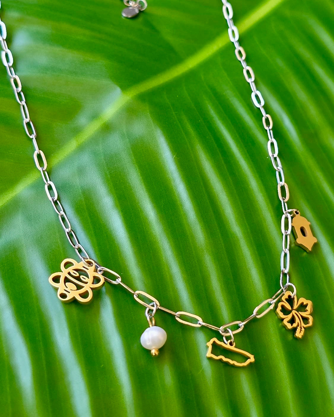 Two Tone Puerto Rico Charm Neckace