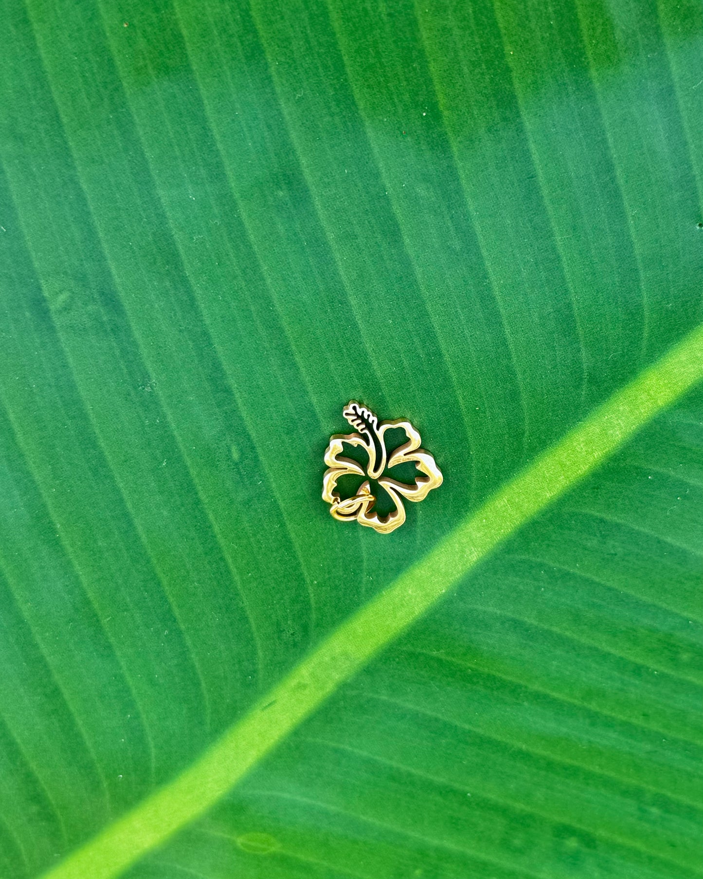 Gold stainless steel Flor de Maga hibiscus charm symbolizing love, passion, and heartfelt meaning