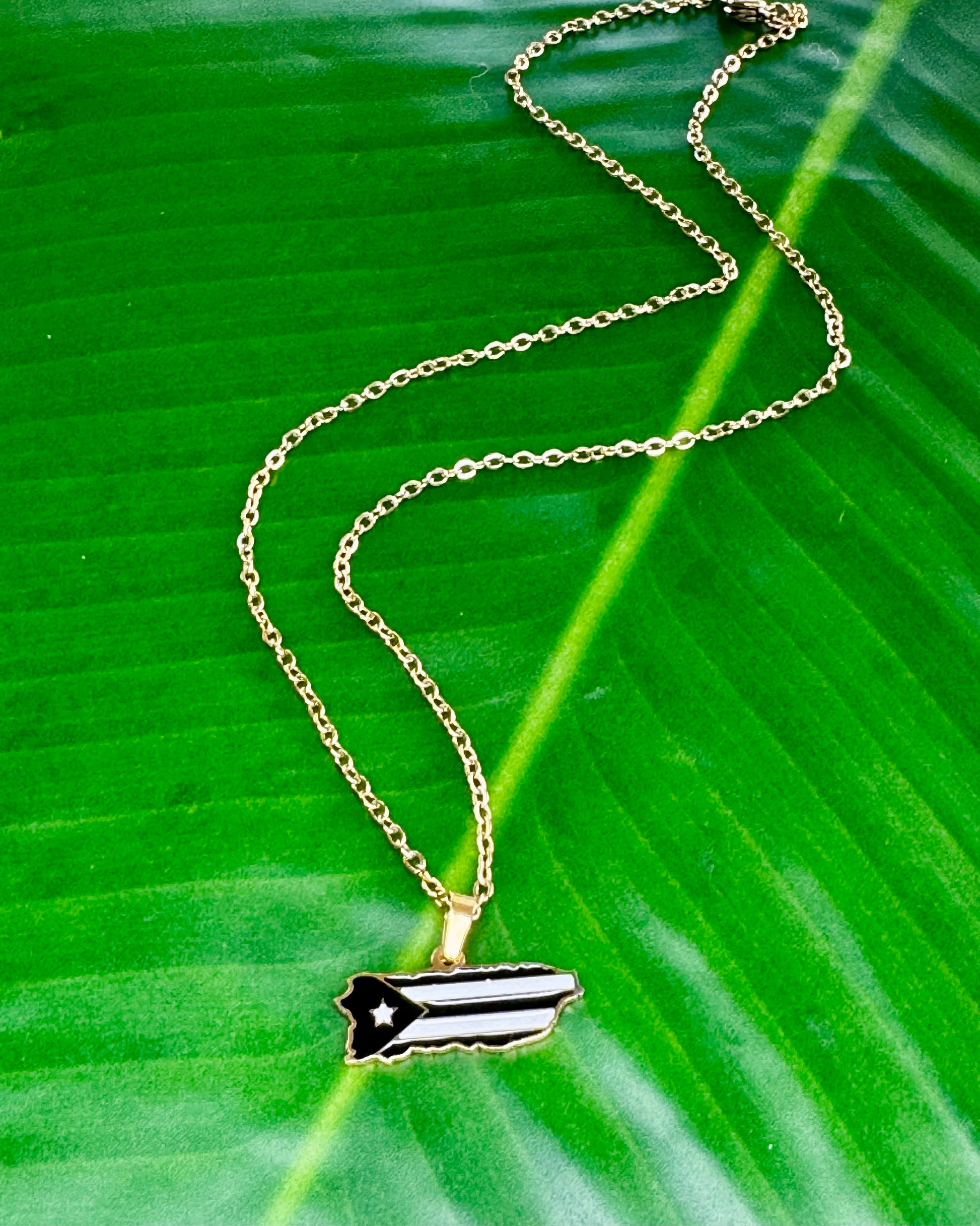 17½-inch stainless steel necklace with Puerto Rico charm in black/gold, gold/gold, or gray stainless steel, celebrating Puerto Rican pride