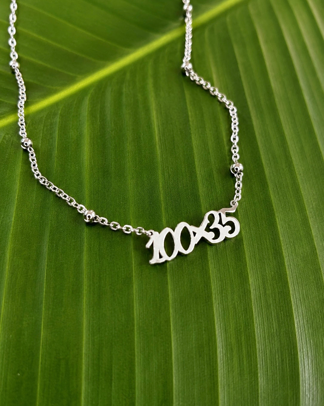 100x35 Necklace – Stainless Steel