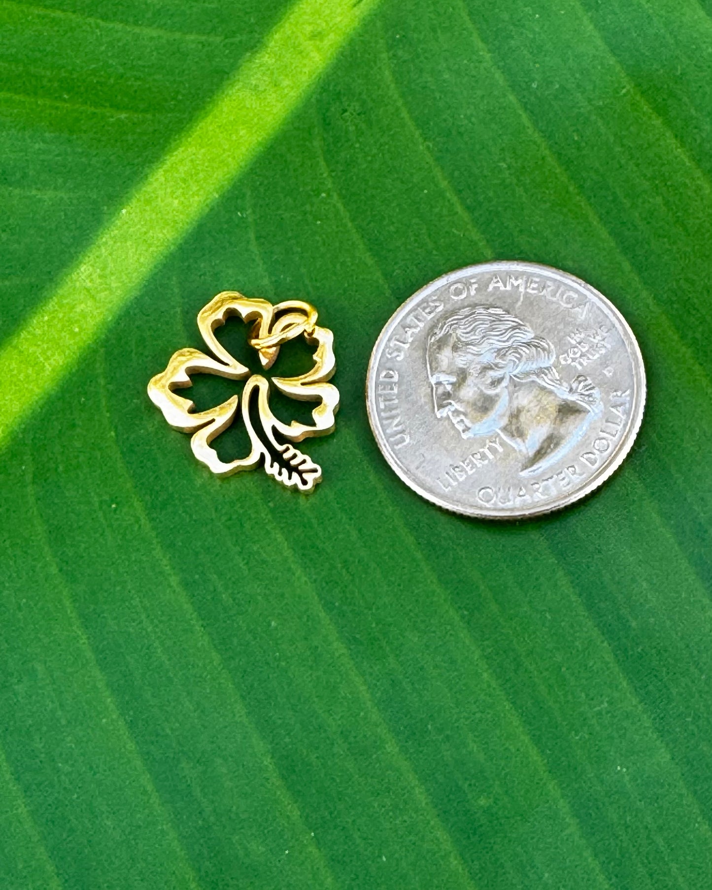 Gold stainless steel Flor de Maga hibiscus charm symbolizing love, passion, and heartfelt meaning