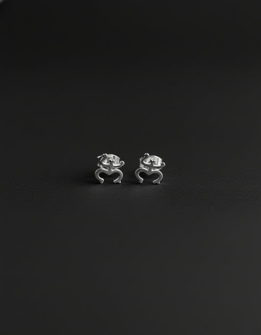 Small stainless steel stud earrings featuring the Coquí Taíno symbol