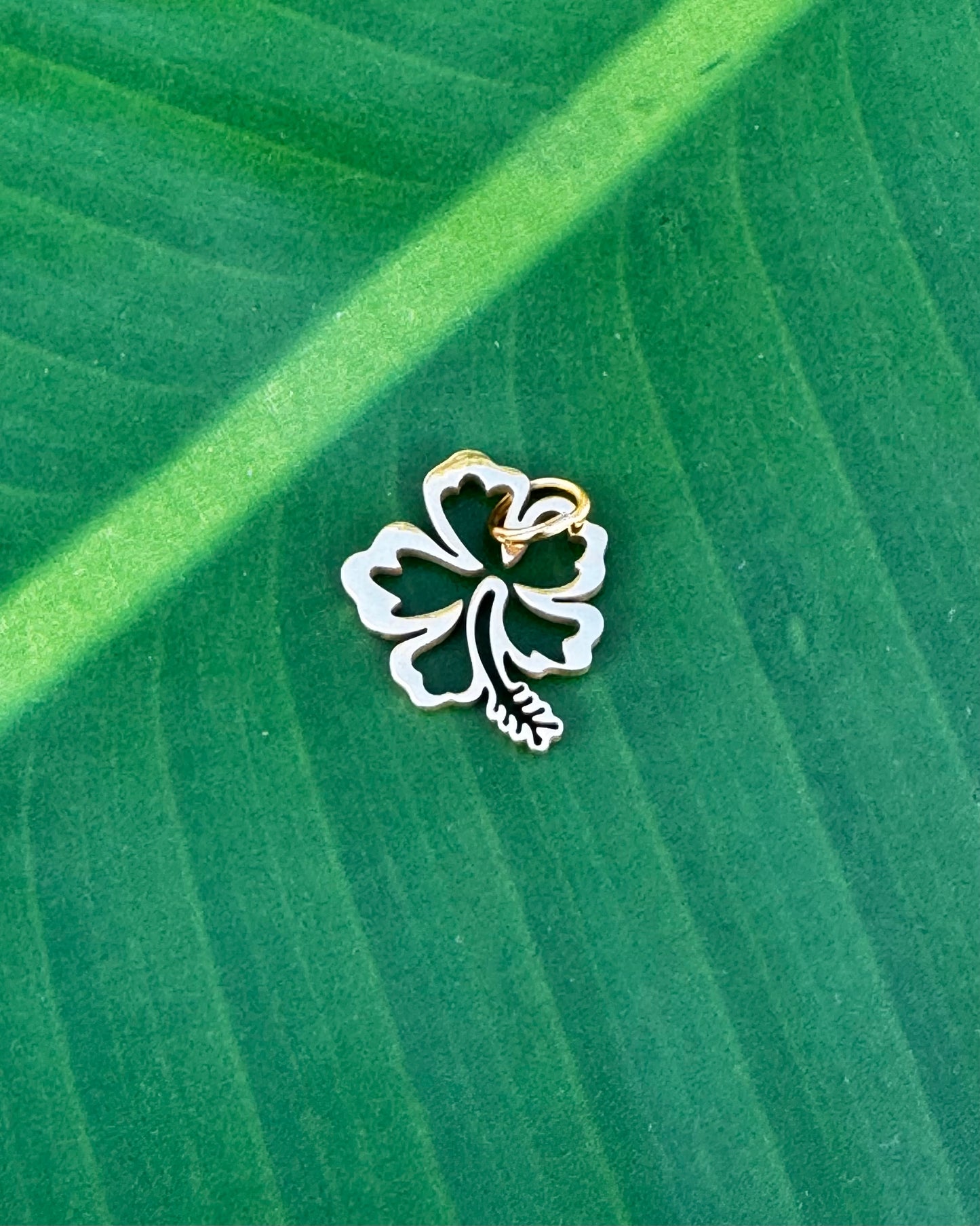 Gold stainless steel Flor de Maga hibiscus charm symbolizing love, passion, and heartfelt meaning