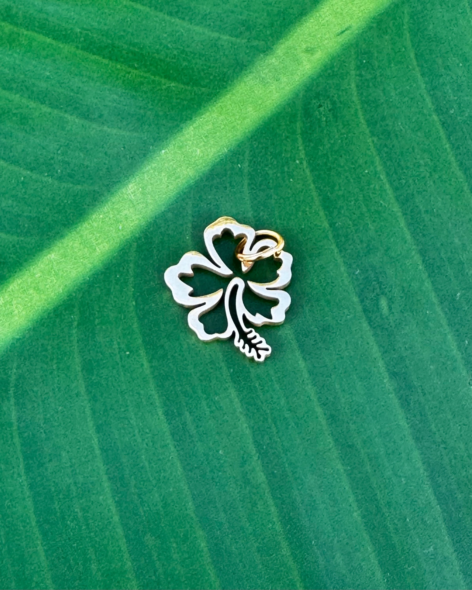 Gold stainless steel Flor de Maga hibiscus charm symbolizing love, passion, and heartfelt meaning