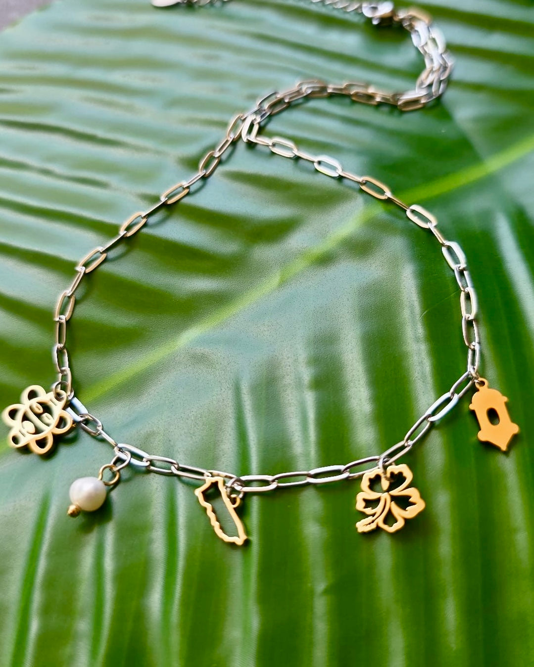 Two Tone Puerto Rico Charm Neckace