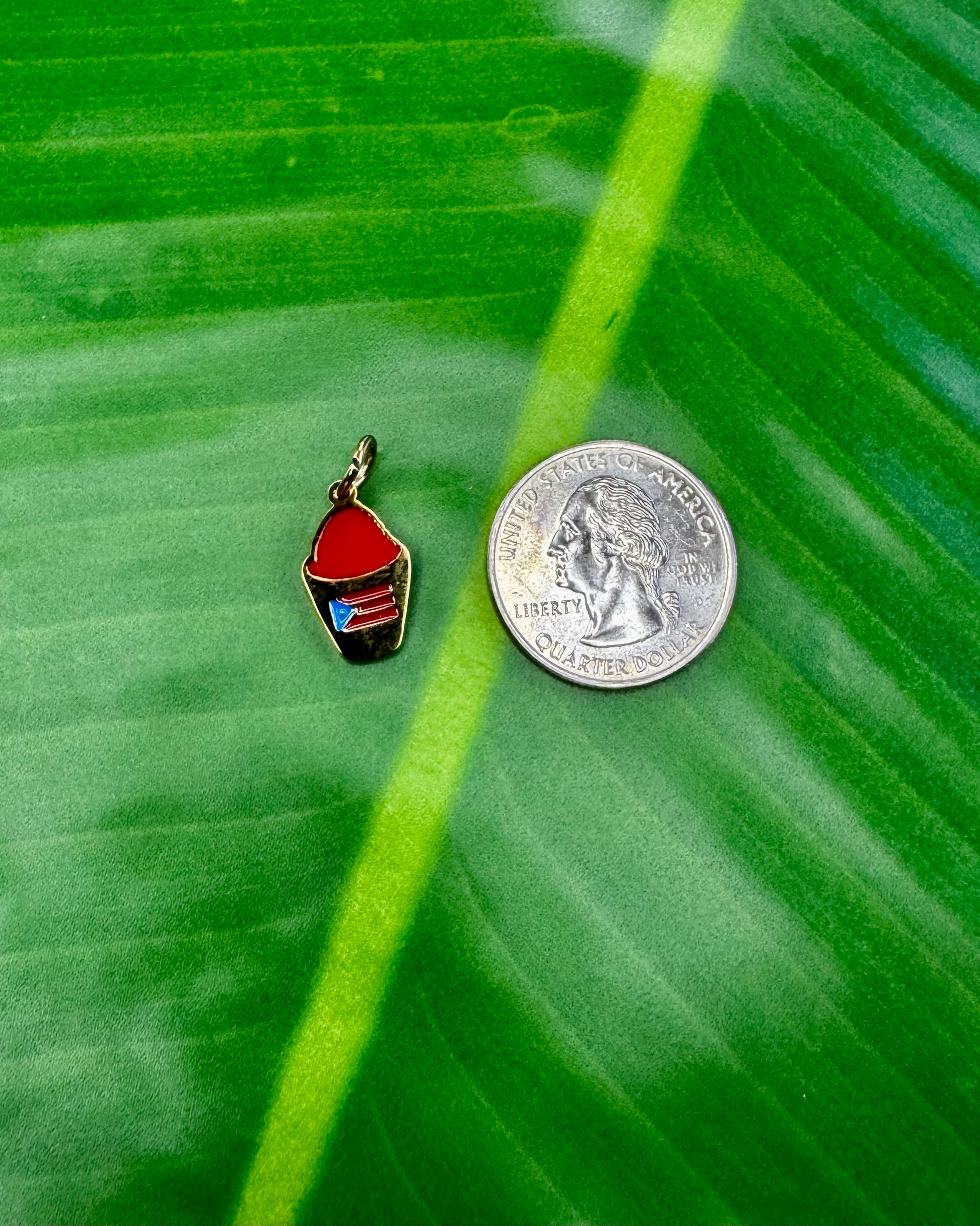 Puerto Rican Piragua charm in gold stainless steel featuring raspberry flavor and flag