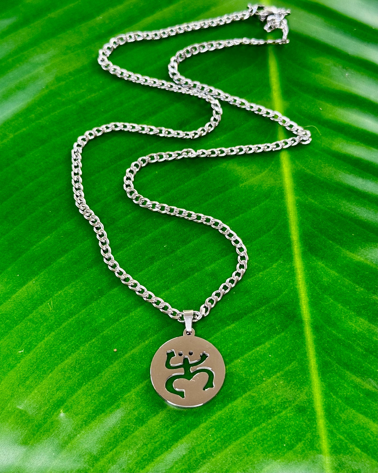 20-inch stainless steel necklace with Coquí Taíno charm, a unisex accessory symbolizing Puerto Rican heritage and Taíno culture.