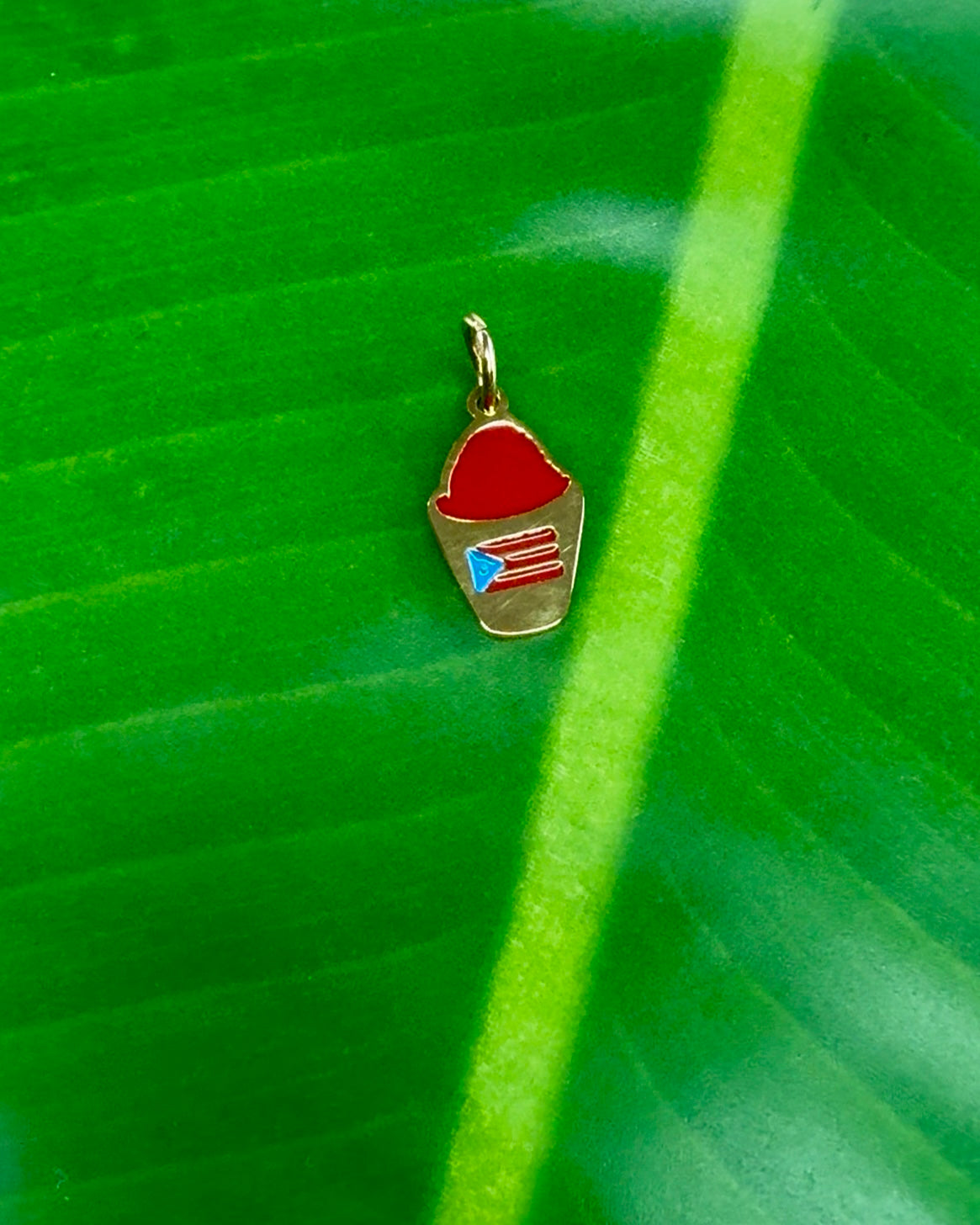 Puerto Rican Piragua charm in gold stainless steel featuring Frambuesa flavor and flag