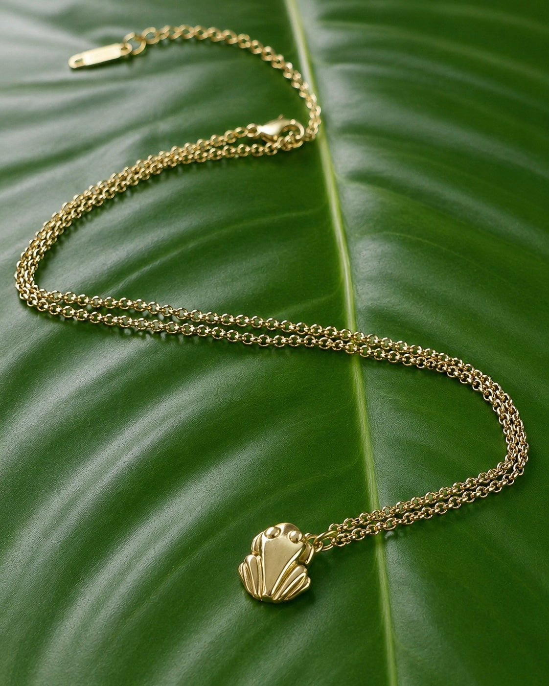 Gold Stainless Steel Coqui