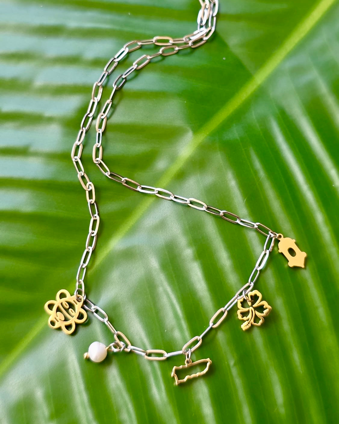 Two Tone Puerto Rico Charm Neckace
