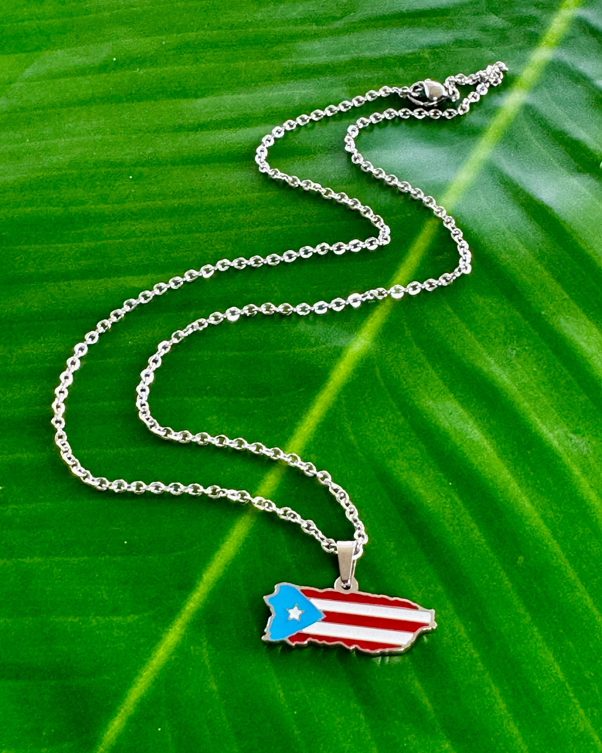 17½-inch stainless steel necklace with Puerto Rico charm in black/gold, gold/gold, or gray stainless steel, celebrating Puerto Rican pride