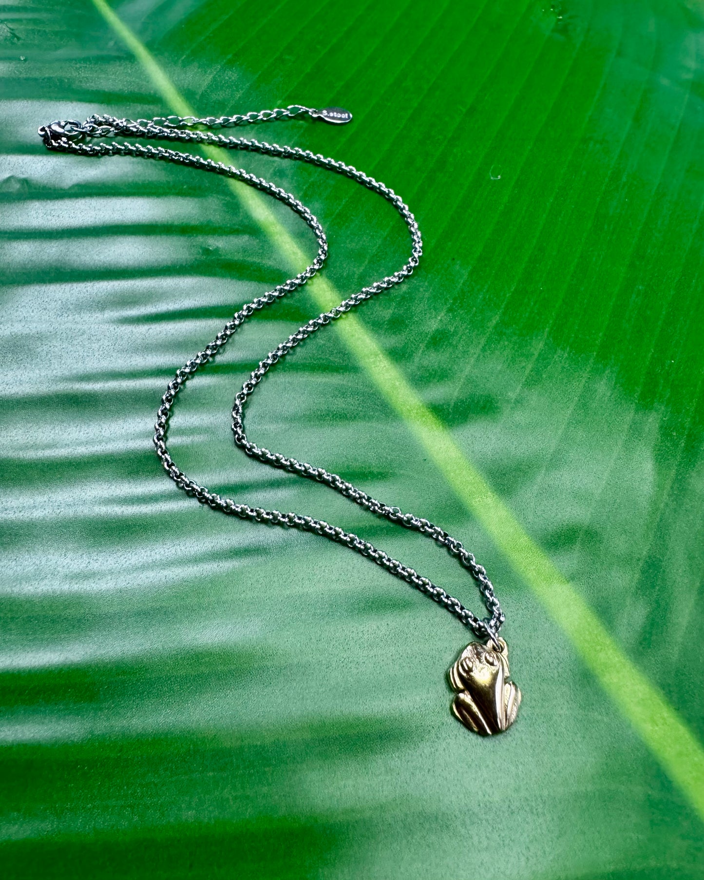 Gold Stainless Steel Coqui