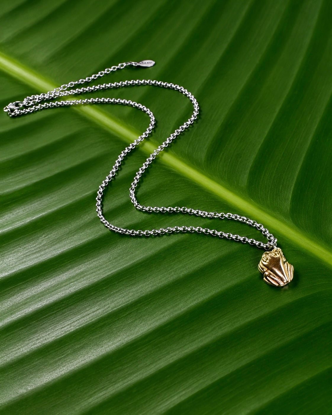 Gold Stainless Steel Coqui