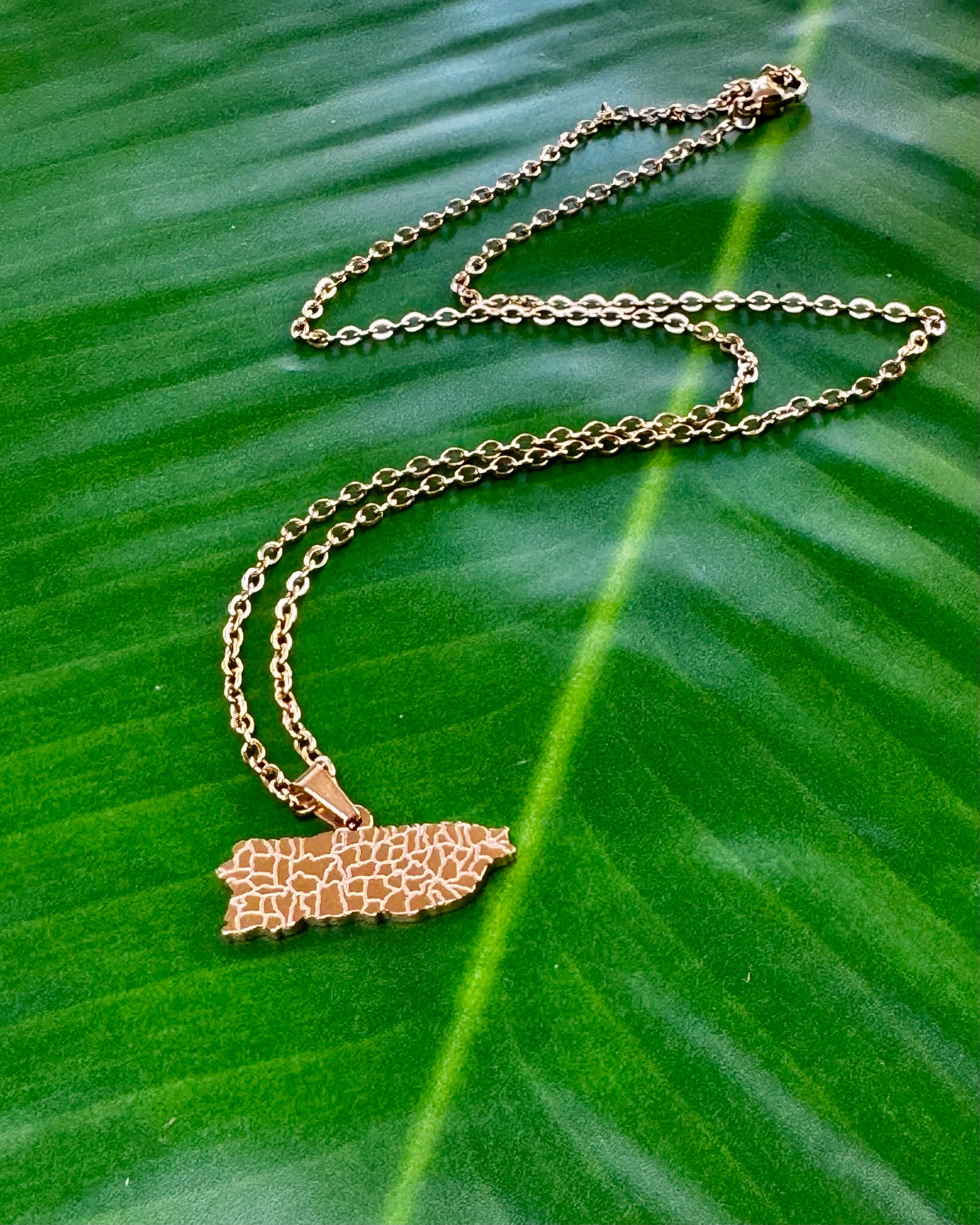 18-inch necklace with a charm shaped like Puerto Rico, highlighting its towns. A stylish accessory representing love and pride for the island, perfect for gifting or everyday wear.