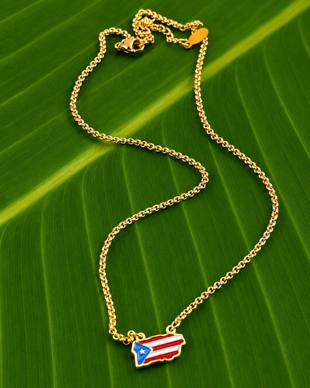 Puerto Rico Vibrant Map Necklace – 18” Stainless Steel