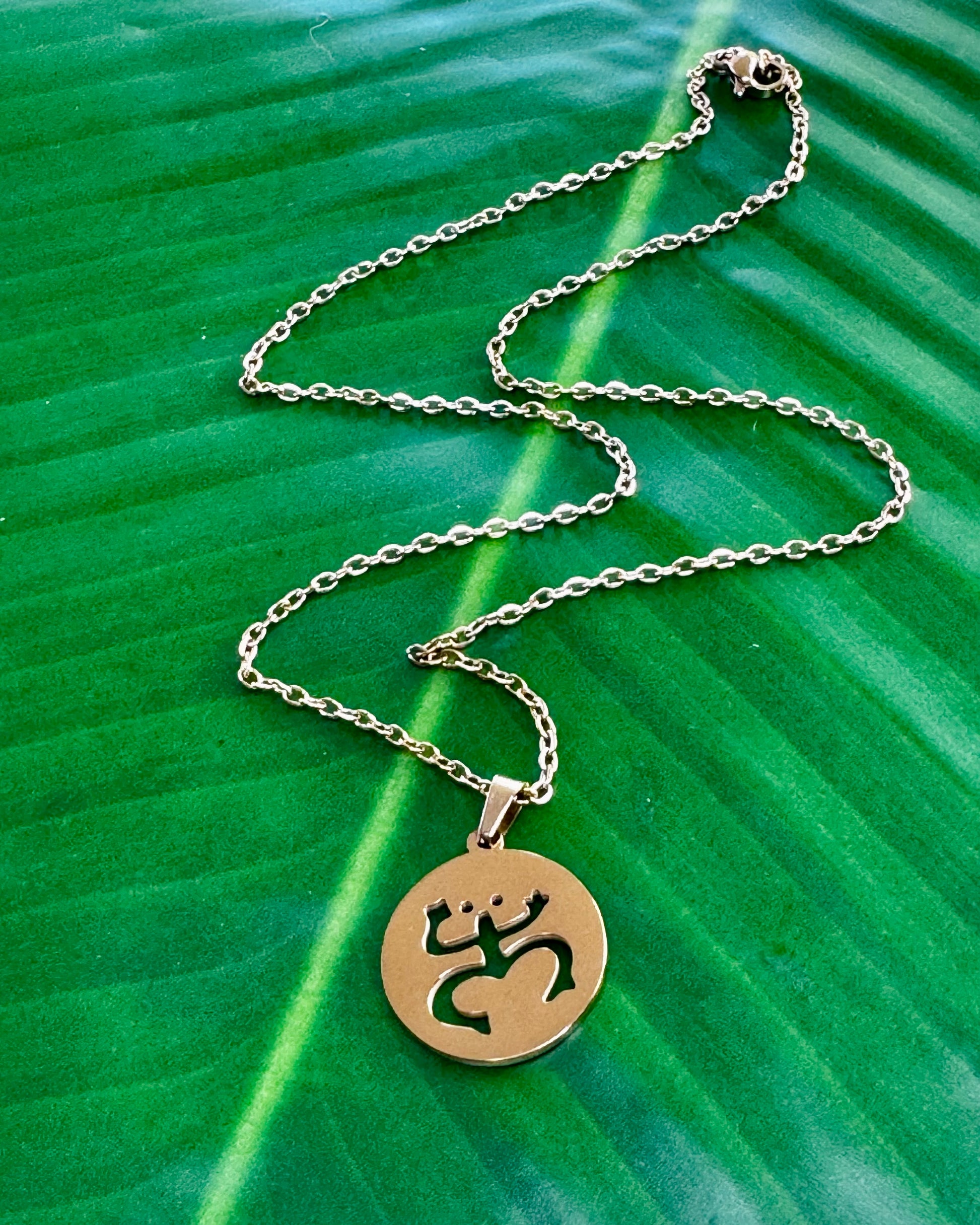 18-inch gold stainless steel necklace with a Coquí Taíno charm symbolizing Puerto Rican heritage and Taíno culture.